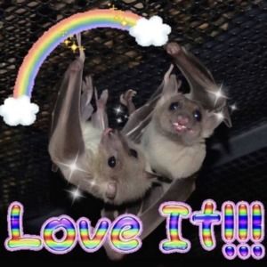 Meet your Posher, Marcelina